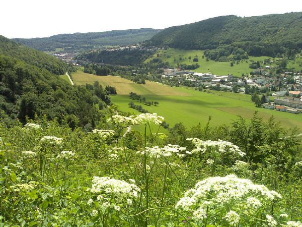 Schoenhalde-2007-06-24.jpg